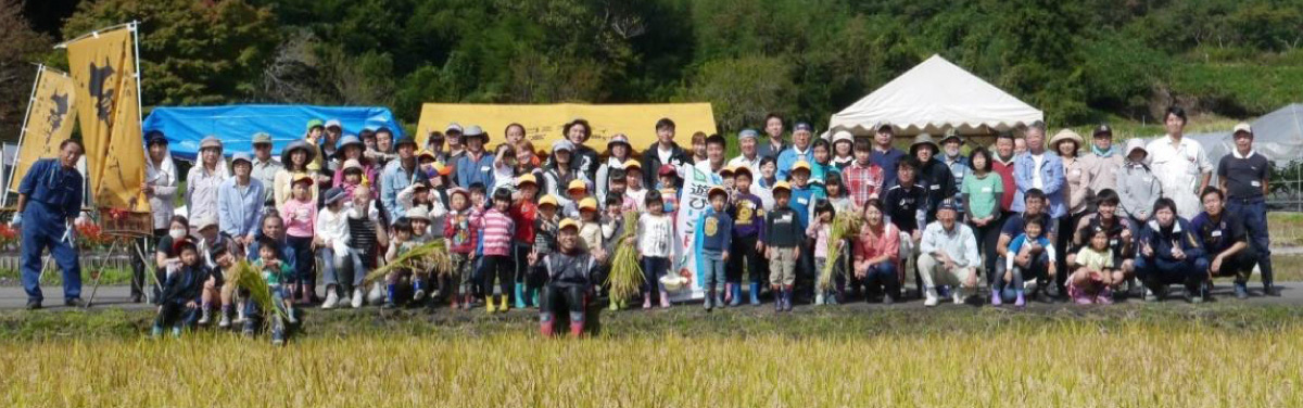 田植えと稲刈りの様子